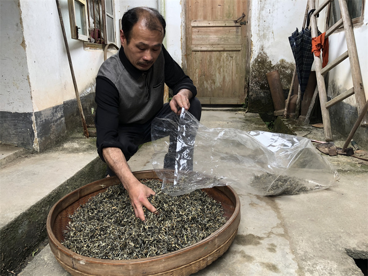 仁化白毛茶制作环节——下烘成茶 冯紫娟2020.4.jpg