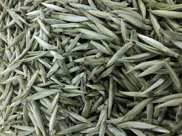 仁化白毛茶单芽 张其彬2018年.jpg